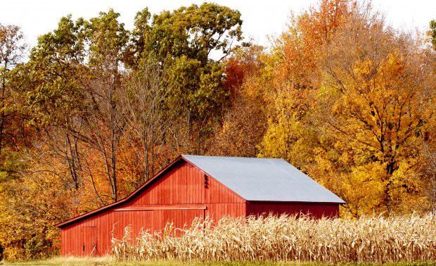 2011: Fall Colors